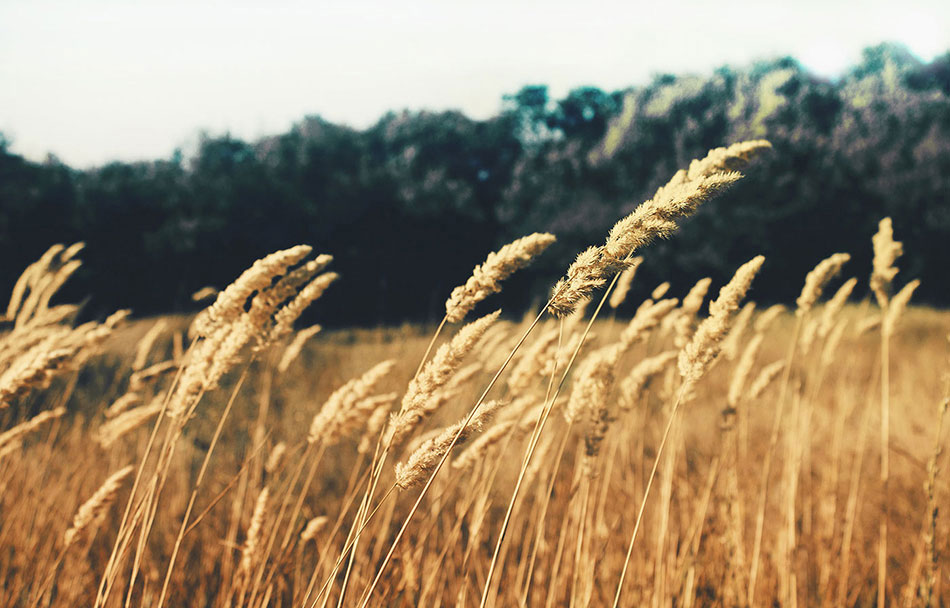 成都摩品,啤酒包装设计,成都VI设计公司,成都广告公司,企业标志设计,LOGO设计公司,企业画册设计,成都包装设计,成都商标设计,平面设计公司,企业网页设计,成都吉祥物设计,专卖店设计,商业空间设计,成都品牌设计,www.mopin.cc 