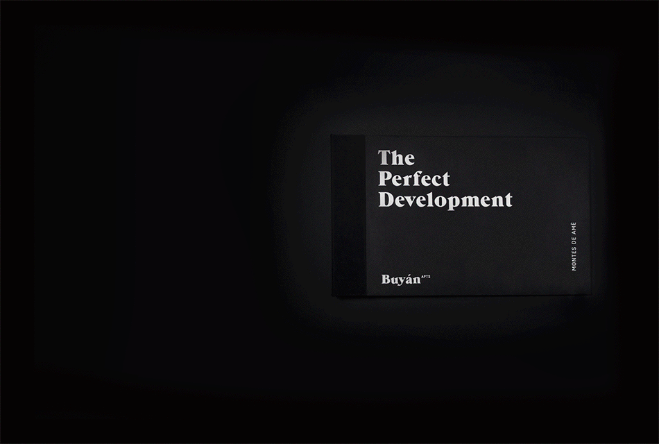 成都VI设计公司,品牌画册设计,成都广告公司,企业标志设计,Buy&aacute;n公寓,LOGO设计公司,企业画册设计,成都包装设计,成都商标设计,平面设计公司,企业网页设计,成都吉祥物设计,专卖店设计,商业空间设计,成都品牌设计,摩品,www.mopin.cc