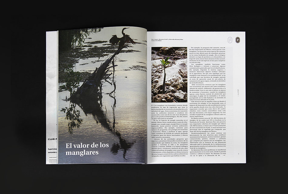 成都广告公司Pen&iacute;nsulaTres杂志 品牌形象设计 标志VI设计 