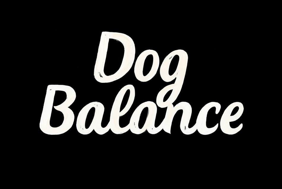 品牌形象设计,产品包装设计,品牌标志设计,Dog Balance宠物食品