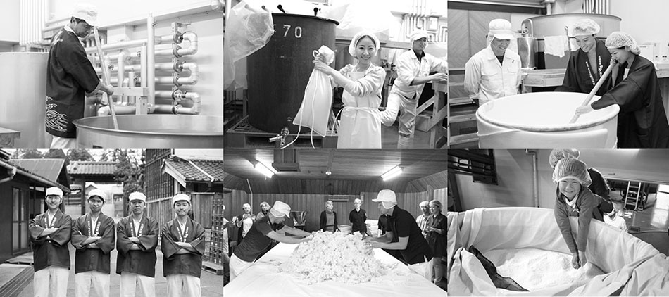 酒包装设计,品牌标志设计,公司logo设计,饭沼本家asif日本清酒