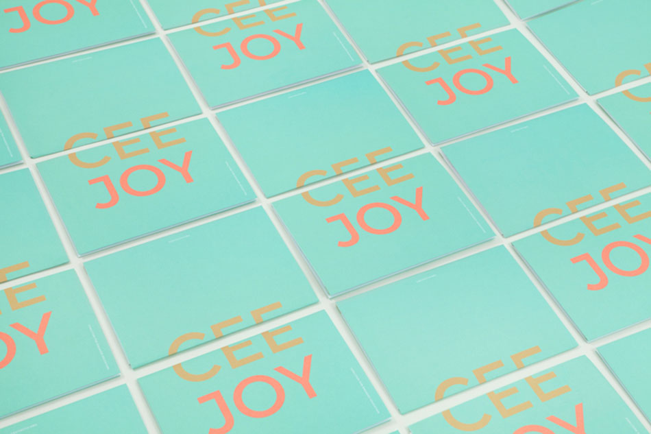 成都摩品VI设计广告公司-CEE品牌VI设计欣赏