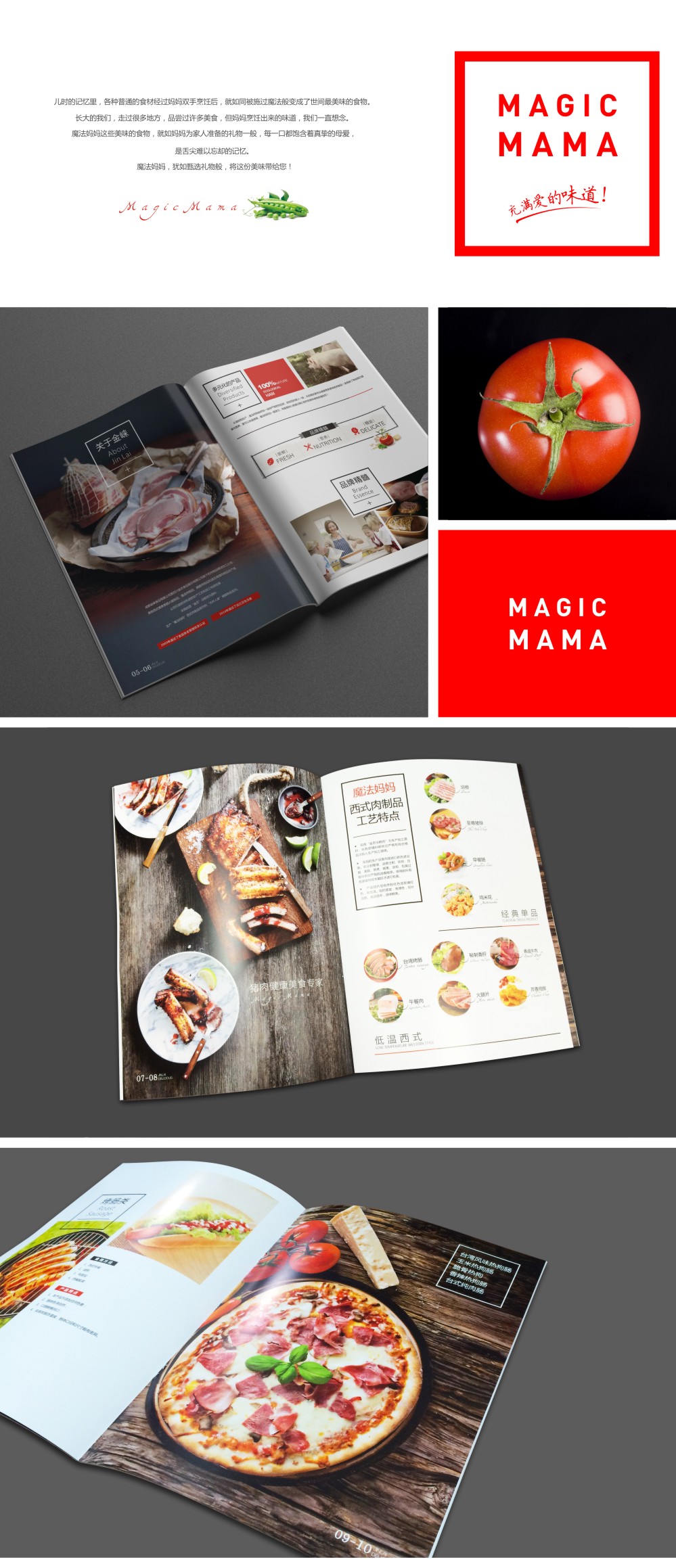 成都摩品广告设计,企业标志设计,LOGO设计,VI设计,产品包装设计,专卖店设计,商业空间设计,产品画册设计