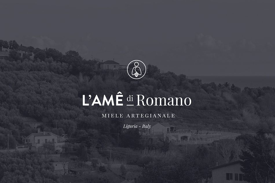 成都摩品包装设计公司-L&rsquo;Ame Honey蜂蜜品牌标志设计,蜂蜜包装设计