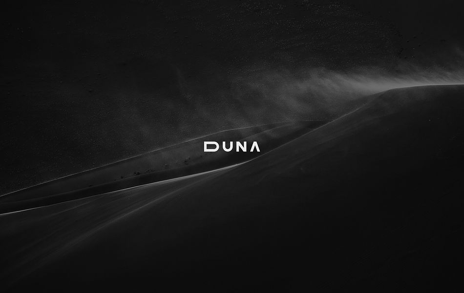 成都摩品LOGO设计公司-Est&uacute;dio Duna工作室LOGO设计欣赏