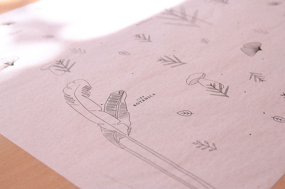 成都摩品形象设计公司-Bot&aacute;nica tienda工作室形象设计欣赏