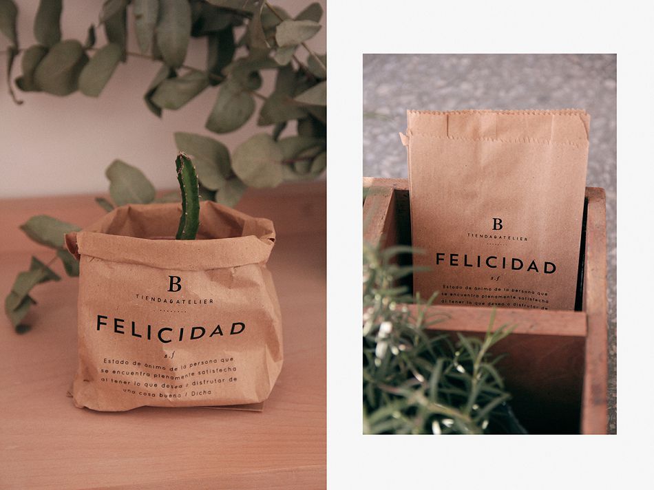 成都摩品形象设计公司-Bot&aacute;nica tienda工作室形象设计欣赏