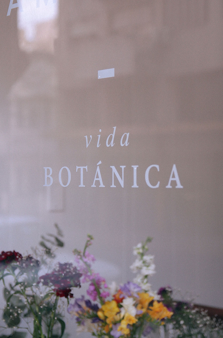 成都摩品形象设计公司-Bot&aacute;nica tienda工作室形象设计欣赏