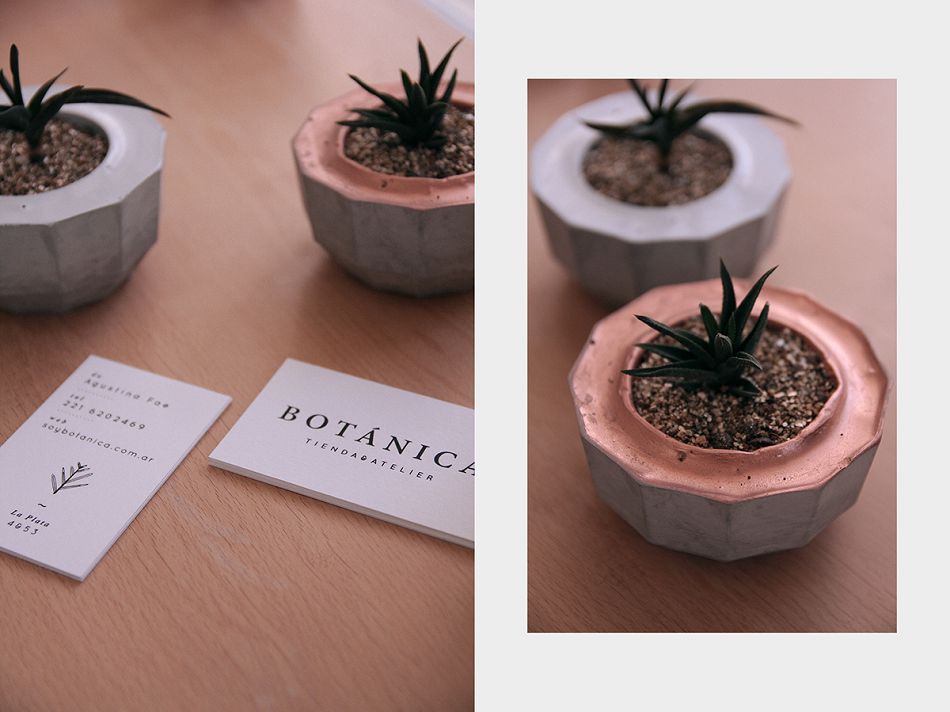 成都摩品形象设计公司-Bot&aacute;nica tienda工作室形象设计欣赏