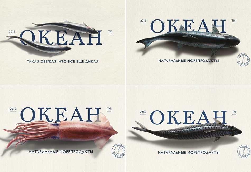 成都摩品包装设计公司-Ocean品牌包装设计欣赏