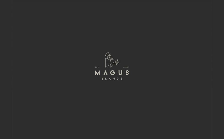 成都摩品产品包装设计公司-Magus Brands绿茶品牌包装设计欣赏